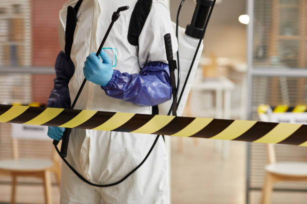 Professional Odor Removal technician working in Hye, TX
