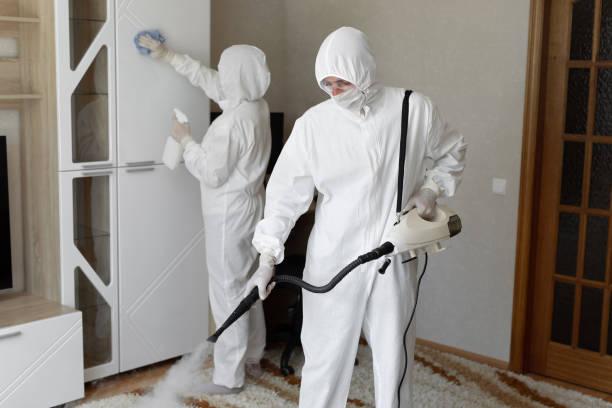 24/7 Emergency Odor Removal experts in Hye, TX